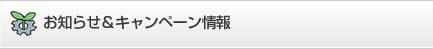 お知らせ&キャンペーン